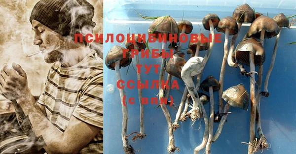 а пвп мука Армянск